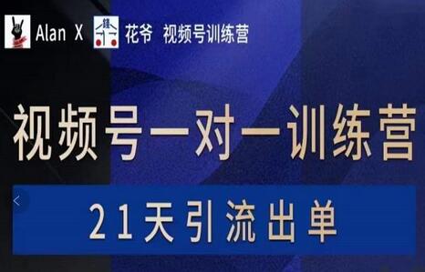AlanX花爷视频号引流出单训练营，掌握必杀技-无双副业