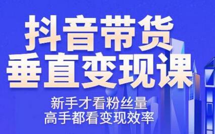 波波的私域案例课：从0到百万级账号的实战指南-无双副业