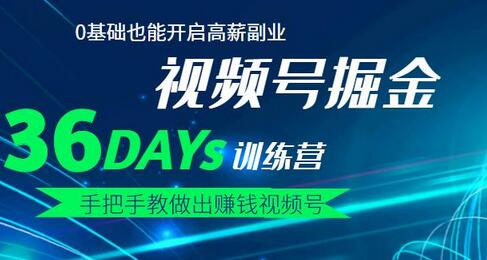 36天手把手教你打造赚钱视频号，0基础开启高薪副业-无双副业