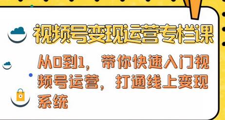 视频号变现运营：视频号+社群+直播打造变现系统-无双副业