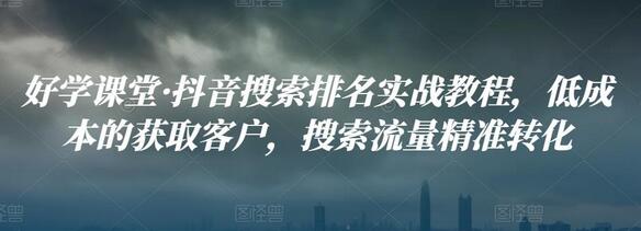 抖音搜索排名实战教程：低成本获取客户与精准转化-无双副业