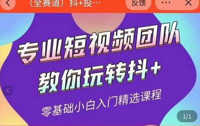 全赛道抖+投放课：专业团队教你玩转短视频营销-无双副业