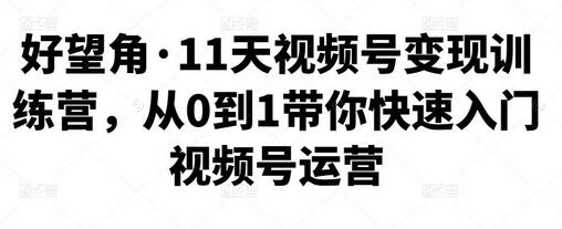 好望角视频号变现训练营，快速入门视频号运营-无双副业