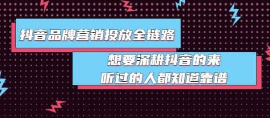 抖音品牌营销投放全链路：深耕抖音的实用指南-无双副业