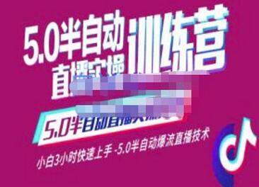 蚂蚁5.0半自动直播2345心法，小白3小时快速上手爆流技术-无双副业
