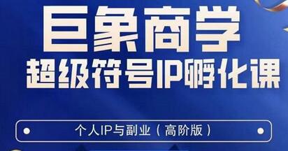 巨象超级IP孵化高阶陪跑课，打造个人IP与流量思维-无双副业