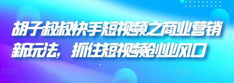 胡子叔叔快手短视频商业营销新玩法，抓住创业风口-无双副业