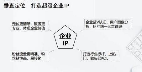 媒老头学院短视频带货合集进阶篇详细分类与赛道解析-无双副业
