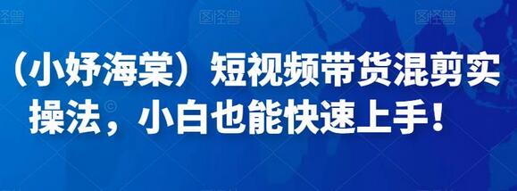 短视频带货混剪实操法，小白快速上手指南-无双副业