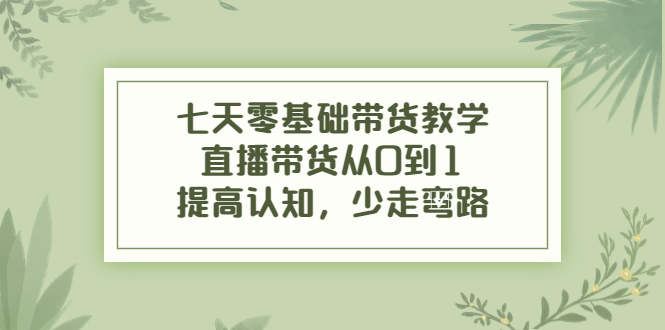 七天零基础直播带货教学，从入门到精通，提升认知避免误区-无双副业