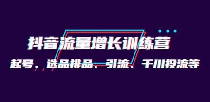 抖音流量增长训练营：起号、选品、引流与千川投流全攻略-无双副业