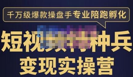 兔妈短视频特种兵变现实操营，从底层逻辑到实操细节-无双副业