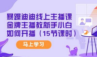 暴躁迪迪线上主播课，金牌主播教你如何开播-无双副业