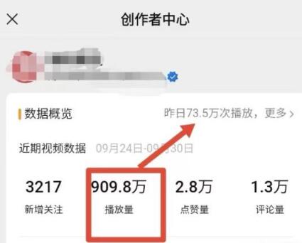视频号高客单高利润玩法与引流变现策略-无双副业
