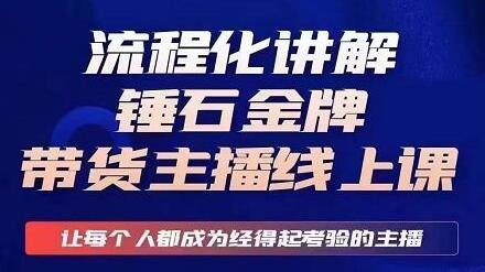 锤石传媒婉婉金牌带货主播线上课程，流程化讲解打造专业主播-无双副业
