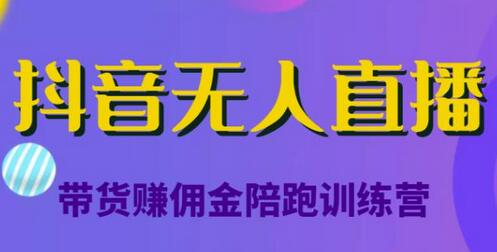 抖音无人直播带货训练营，从0开始实操日赚5000元-无双副业