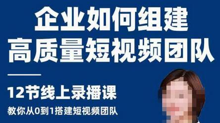 企业高质量视频团队搭建指南：12节课程从0到1-无双副业