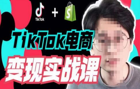 TikTok电商变现实战课：运营、独立站与广告投放全攻略-无双副业