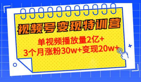 20天视频号变现特训营：单视频播放量2亿+涨粉30w+变现20w+-无双副业