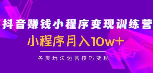 抖音小程序变现训练营：月入10w+运营技巧与玩法-无双副业