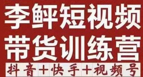 李鲆短视频带货训练营，手把手教你出单技巧-无双副业