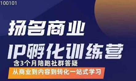 王扬名商业IP孵化训练营：从商业到内容转化一站式学习-无双副业