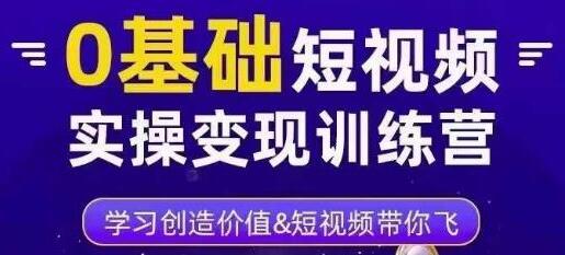 薛辉短视频实操变现训练营，3大体系成就百万大V-无双副业