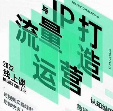 大蓝流量运营与个人IP打造课，短视频带货与直播入门指南-无双副业