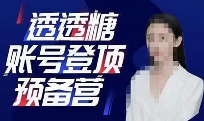 透透糖账号登顶预备营，高手账号打造密码与抖音必学课程-无双副业