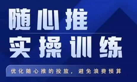 飞哥随心推实操训练，优化投放策略避免预算浪费-无双副业