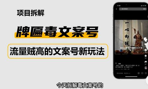 2023抖音快手毒文案新玩法，牌匾文案号快速变现-无双副业