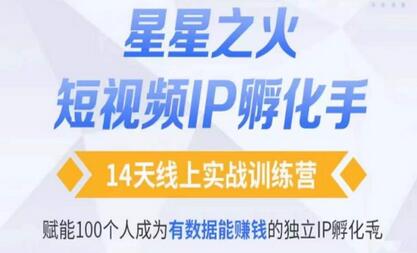 瑶瑶自然流短视频IP孵化训练营，14天实战赋能独立IP孵化手-无双副业