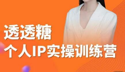 透透糖2023个人IP实操训练营，短视频变现与电商运营全攻略-无双副业