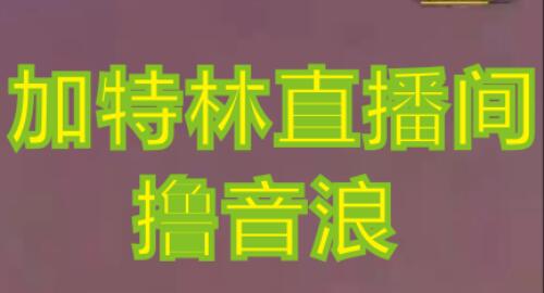抖音加特林直播间搭建技术，0粉开播暴力撸音浪教程-无双副业