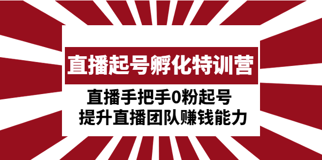 直播起号孵化特训营：0粉起号与团队赚钱能力提升-无双副业