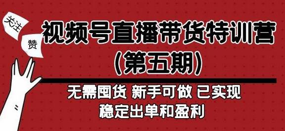 视频号直播带货特训营：无需囤货，新手快速盈利指南-无双副业