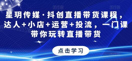 星玥传媒抖创直播带货课程，达人小店运营投流全攻略-无双副业
