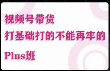 视频号带货Puls班：底层逻辑与起号自然流玩法-无双副业