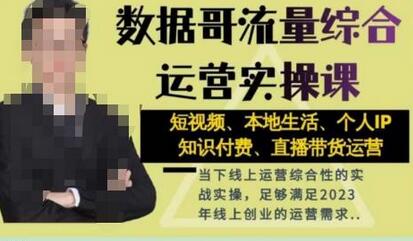 数据哥流量综合运营实操课：短视频、本地生活、个人IP与直播带货-无双副业