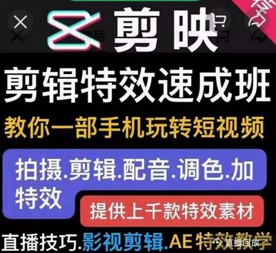特效罗剪辑特效速成班：手机玩转短视频，提供上千款特效素材-无双副业