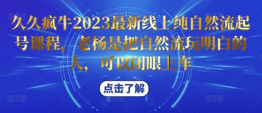 2023久久疯牛纯自然流起号课程，老杨带你玩转自然流-无双副业