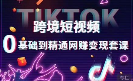 跨境短视频TikTok从0基础到精通变现技巧与独立站带货指南-无双副业