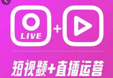 泛小识365天短视频直播运营综合辅导课程，新手必学-无双副业