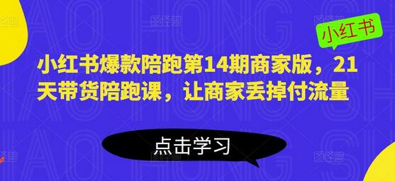 小红书爆款陪跑商家版，21天带货课程助力商家摆脱付费流量依赖-无双副业