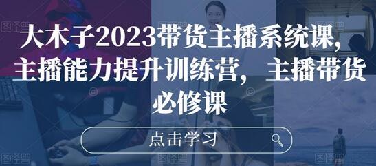 大木子2023带货主播系统课，提升主播能力训练营-无双副业