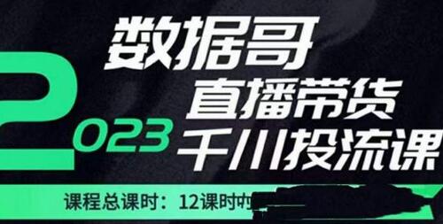 数据哥2023直播电商巨量千川付费投流实操课，掌握直播带货运营策略-无双副业