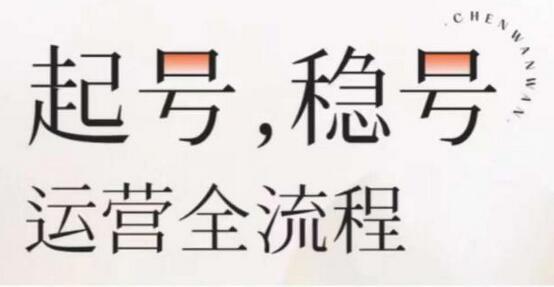 婉婉-起号稳号运营全流程，解决账号运营难题-无双副业
