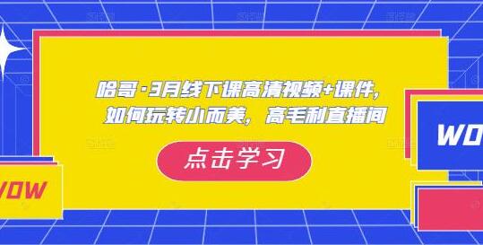 哈哥3月线下实操课：玩转高毛利直播间技巧-无双副业