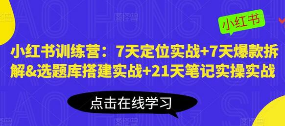 小红书训练营：7天定位与爆款拆解+21天笔记实操-无双副业
