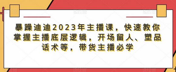 暴躁迪迪2023年主播课：掌握主播底层逻辑与带货技巧-无双副业